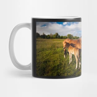 Mother and Foal#1 Mug